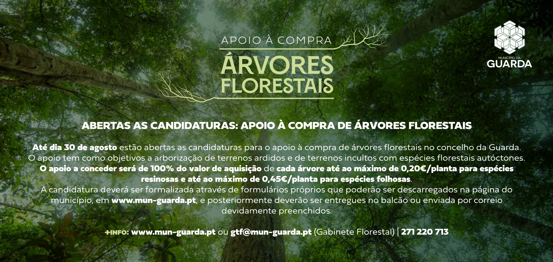 Imagem Apoio à compra de árvores florestais